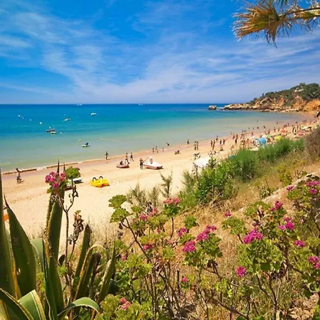 V4, Jardins Branqueira Near Beach,