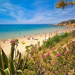 V4, Jardins Branqueira Near Beach,