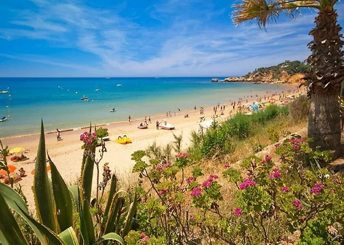 V4, Jardins Branqueira Near Beach,