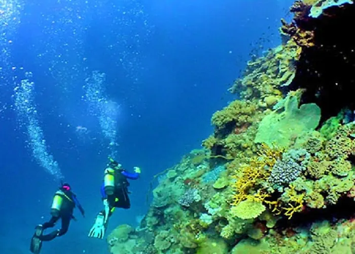 V4, Jardins Branqueira Near Beach, Βίλα Αλμπουφέιρα