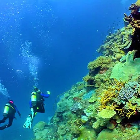 V4, Jardins Branqueira Near Beach, Вилла Албуфейра